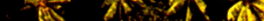 Sunshine F.C. Official Website